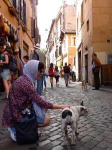 Animalista Untamed stray dog Italy Rome city street