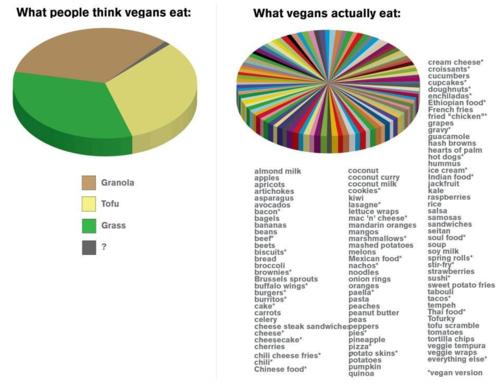 what-vegans-eat