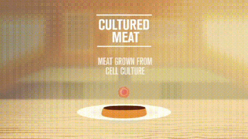 cultured-meat-resized